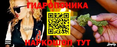 хмурый Отрадное