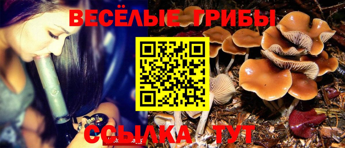 Галлюциногенные грибы мицелий  Вход с VPN  Батайск  Галлюциногенные грибы Psilocybine cubensis 